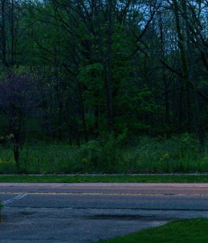 5/10 Near Dark No Tripod
