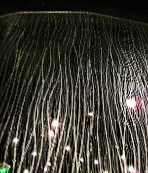 10/6 Glass Door Lines in a Restaurant