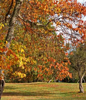 11/03 At Schrier Park