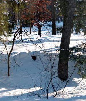 1/2 Frigid Cold Spell