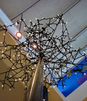 1/21 Lights at KIA
