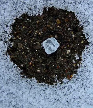 1/29 Salt Crystal On Sidewlk