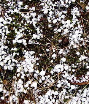 3/7 Lake Effect Snow -- Graupel