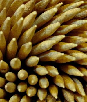 3/25 Toothpicks-macro