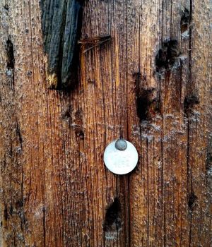 3/27 Power Pole1982 Vintage