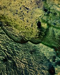 4/2 Palette Leftover Colors