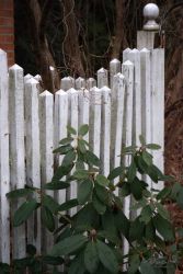 4/13 Fence Friday: