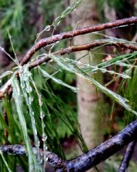 4/15 Frozen Beadwork