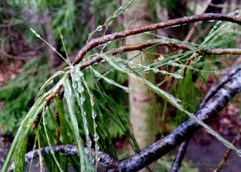 4/15 Frozen Beadwork