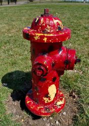 4/22 Fire Hydrant In Dog Park