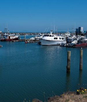 8/9 Westport Marina Grays Harbor