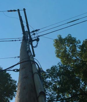 9/19 Utility Pole Looking Up