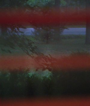 10/5 Steamed Up Window