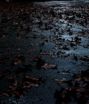 10/10 Pouring Rain - Leaves Coming Down