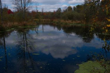 10/13 BearCreek in Fulton State Game Area