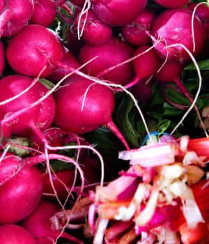 10/20 Radishes & Chard