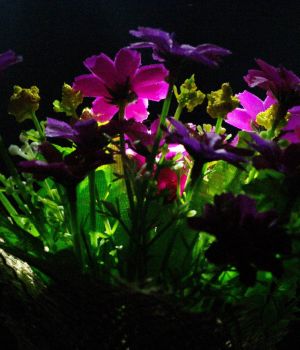 11/19 Small Flower Arrangment