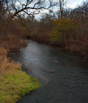 11/20 Portage Creek at PCBP Park