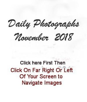 November2018HeaderImage