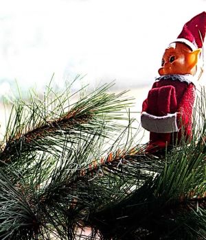 12/23 Merry Christmas From the Elves