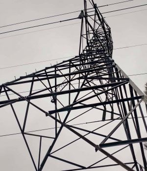 1/2 Silhouette Type Day