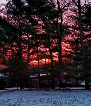 1/11 Red Sunrise