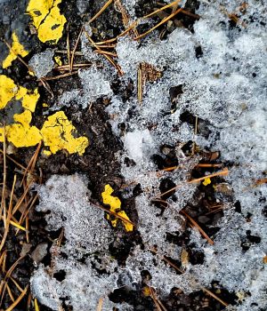 1/24 Broken Pavement in Parking Lot.