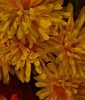 1/25 Fake Flowers