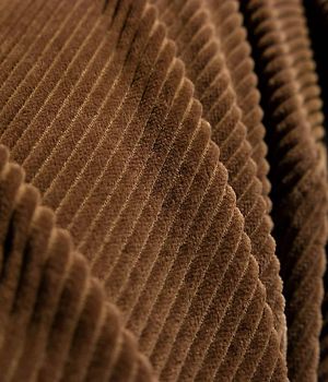 2/10 Corduroy Close Up