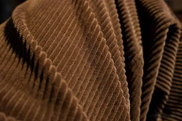 2/10 Corduroy Close Up