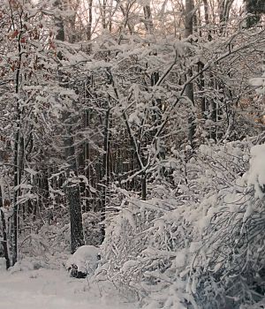 2/13 After Big Snow