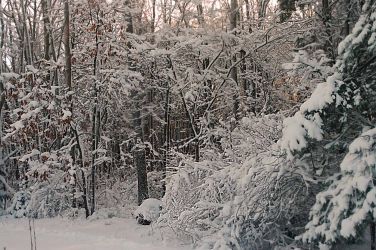 2/13 After Big Snow