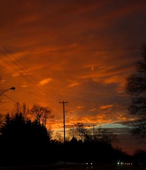 2/14 Sunset in City Of Wires