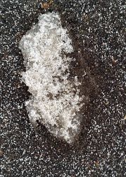2/17 Very Very Fine Snow
