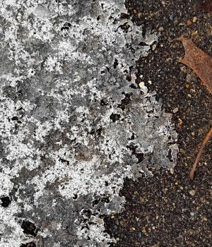 3/7 Melting Ice Edge