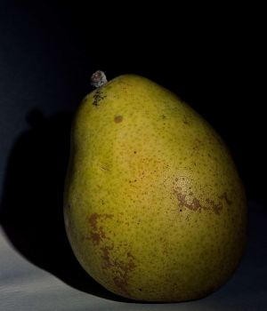4/1 Pear