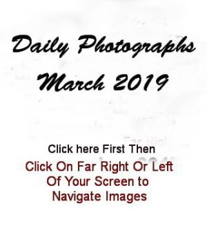 March2019HeaderImage