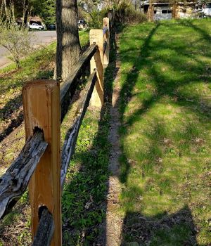 5/5 New Posts & Rails
