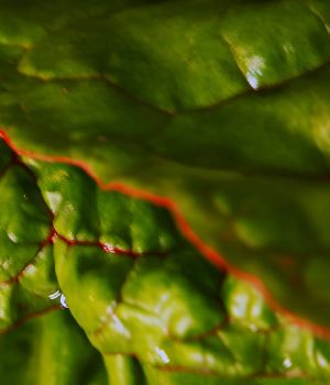 5/11 Abstract What Is It?