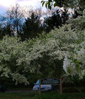 5/16 PUCC-Cherry Trees In Full B;pp,