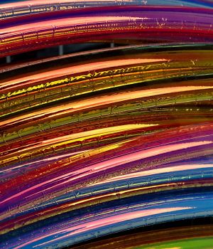 6/6 Hulu Hoops In Jo Annes