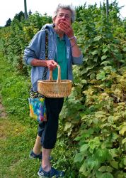 8/17 Barb Picking Raspberries