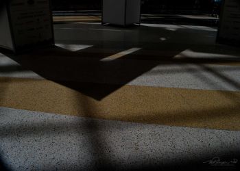 8/22 Stripes and Shadows